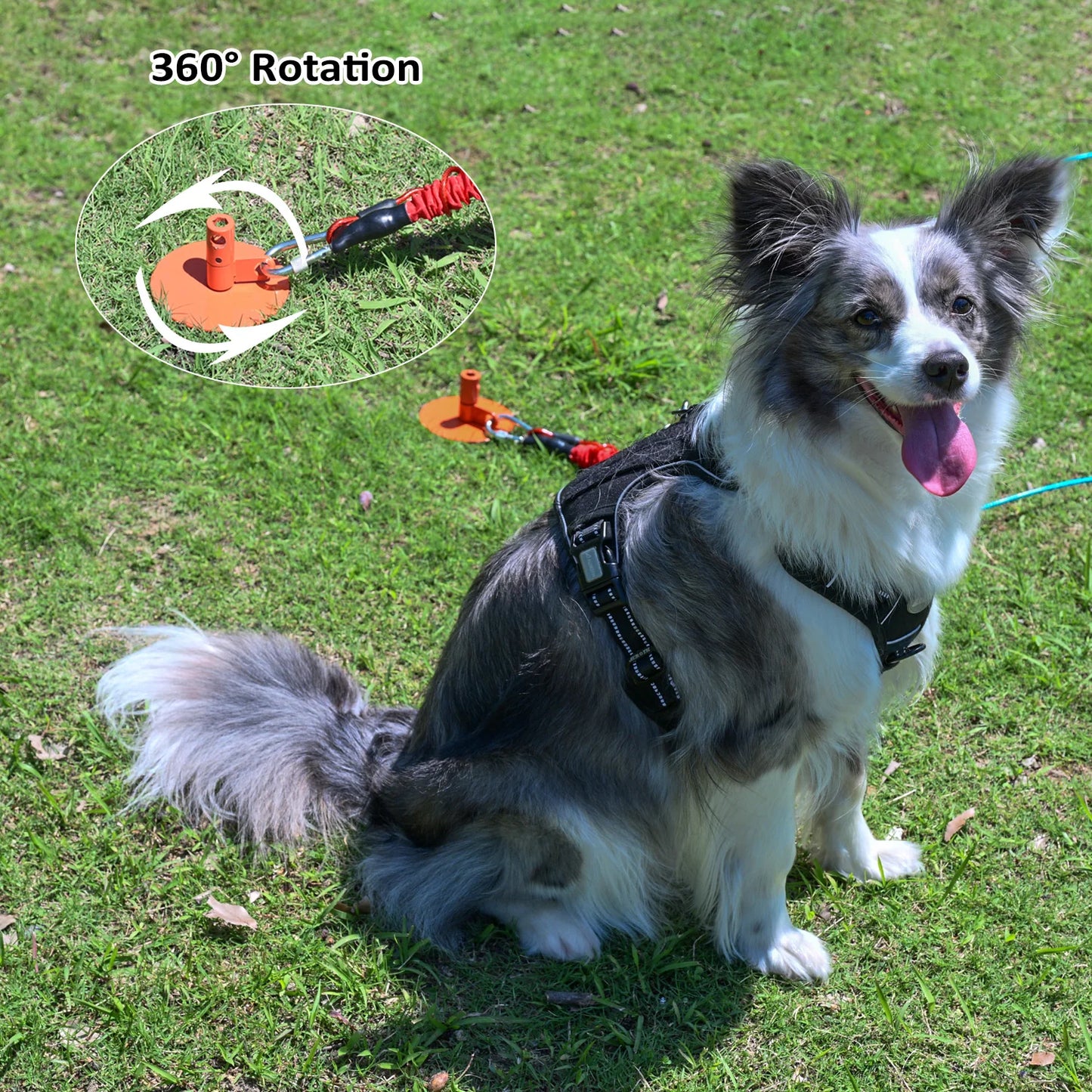 Heavy Duty Dog Tie-Out Stake for Large Dogs